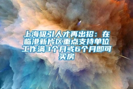 上海吸引人才再出招：在临港新片区重点支持单位工作满3个月或6个月即可买房