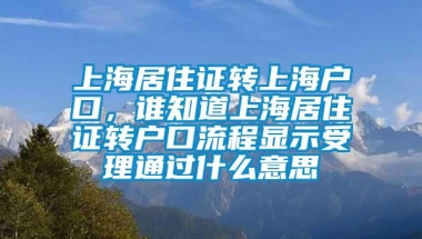 上海居住证转上海户口，谁知道上海居住证转户口流程显示受理通过什么意思