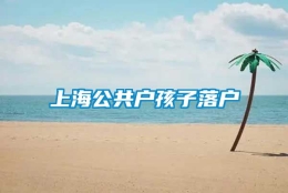 上海公共户孩子落户