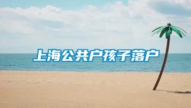 上海公共户孩子落户