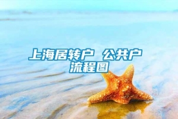 上海居转户 公共户 流程图