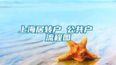 上海居转户 公共户 流程图