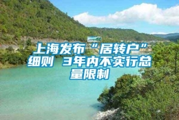 上海发布“居转户”细则 3年内不实行总量限制