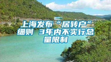 上海发布“居转户”细则 3年内不实行总量限制