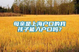 母亲是上海户口的我孩子能入户口吗？