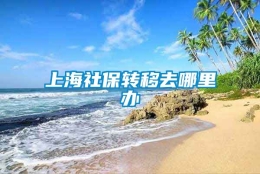 上海社保转移去哪里办