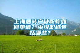 上海居转户缺职称如何申请？中级职称包括哪些？