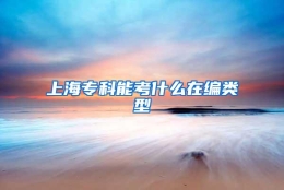 上海专科能考什么在编类型