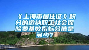 《上海市居住证》积分的缴纳职工社会保险费基数指标分值是多少？