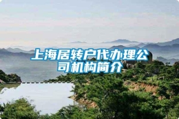 上海居转户代办理公司机构简介