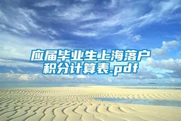 应届毕业生上海落户积分计算表.pdf