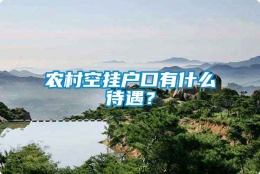 农村空挂户口有什么待遇？