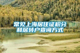 常见上海居住证积分和居转户查询方式