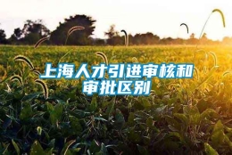 上海人才引进审核和审批区别