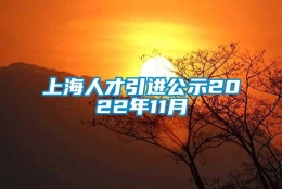 上海人才引进公示2022年11月