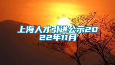 上海人才引进公示2022年11月