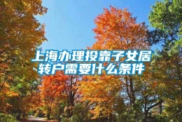 上海办理投靠子女居转户需要什么条件