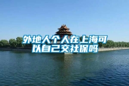 外地人个人在上海可以自己交社保吗