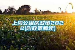 上海公租房政策2022(附政策解读)