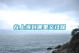 在上海到哪里交社保