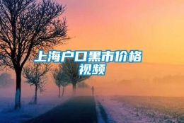 上海户口黑市价格 视频