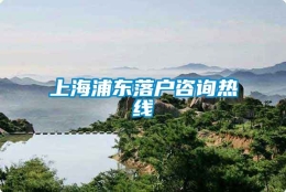 上海浦东落户咨询热线