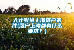 人才引进上海落户条件(落户上海都有什么要求？)