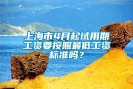 上海市4月起试用期工资要按照最低工资标准吗？