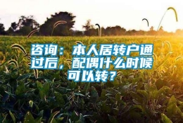 咨询：本人居转户通过后，配偶什么时候可以转？