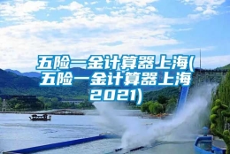 五险一金计算器上海(五险一金计算器上海2021)