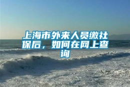 上海市外来人员缴社保后，如何在网上查询