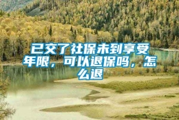 已交了社保未到享受年限，可以退保吗，怎么退