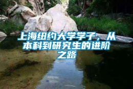 上海纽约大学学子，从本科到研究生的进阶之路