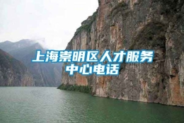 上海崇明区人才服务中心电话