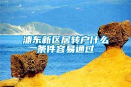 浦东新区居转户什么条件容易通过