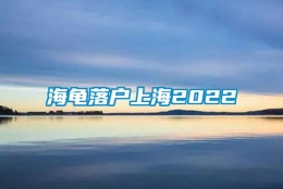 海龟落户上海2022