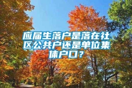 应届生落户是落在社区公共户还是单位集体户口？