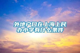 外地户口在上海上民办小学有什么条件