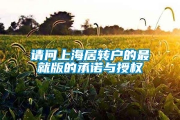 请问上海居转户的最就版的承诺与授权