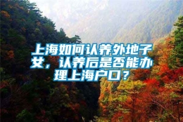 上海如何认养外地子女，认养后是否能办理上海户口？