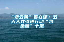 “紫云英”香在哪？五大人才引进行动“含金量”十足