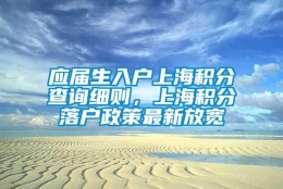 应届生入户上海积分查询细则，上海积分落户政策最新放宽