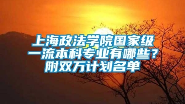 上海政法学院国家级一流本科专业有哪些？附双万计划名单