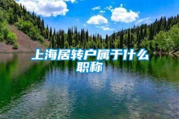 上海居转户属于什么职称