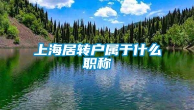 上海居转户属于什么职称