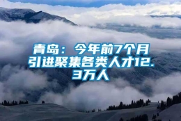 青岛：今年前7个月引进聚集各类人才12.3万人