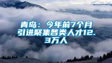 青岛：今年前7个月引进聚集各类人才12.3万人