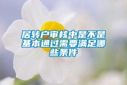 居转户审核中是不是基本通过需要满足哪些条件