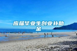 应届毕业生创业补助金