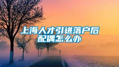 上海人才引进落户后配偶怎么办